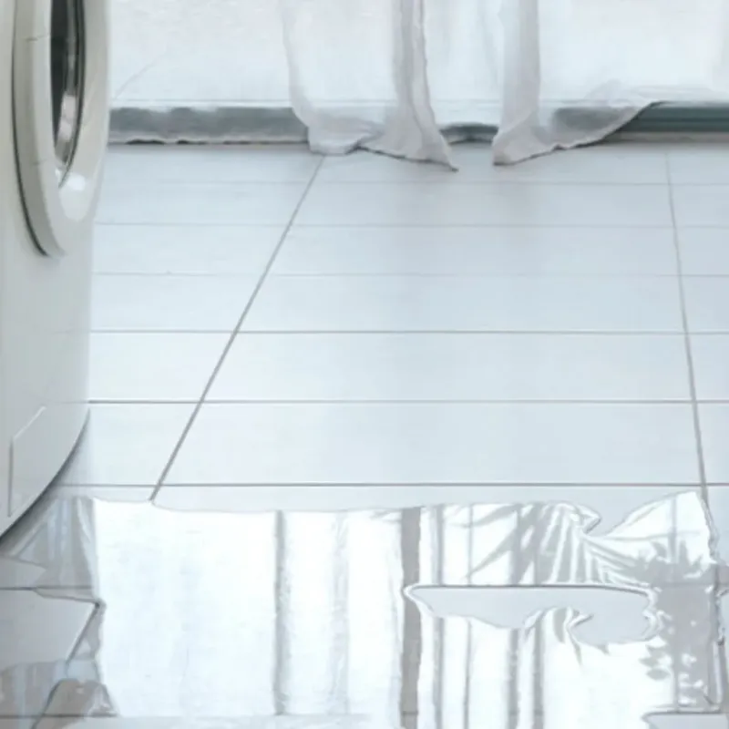 Appliance Leak Cleanup in Leisure World, MD