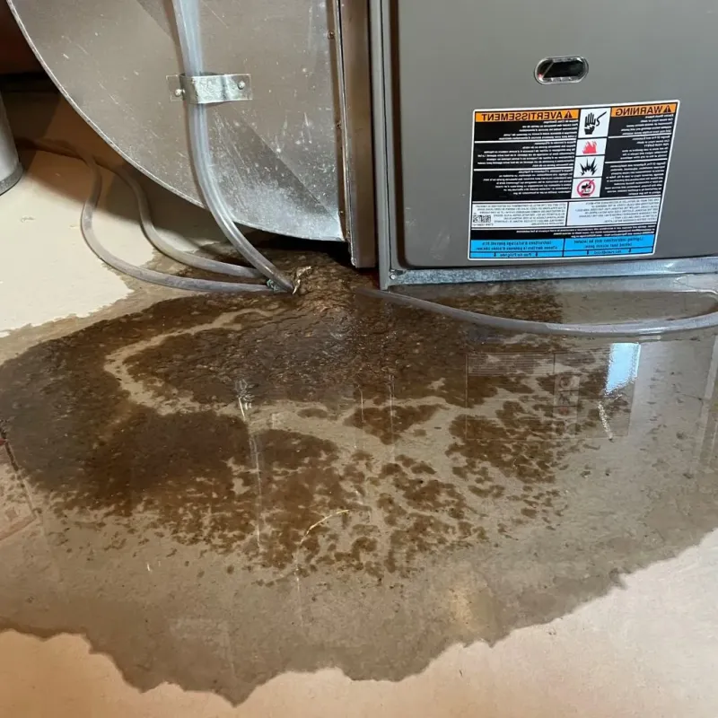 Pipe Burst and Leak Restoration in Leisure World, MD